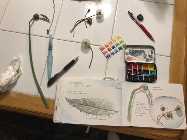 Daily Journal Entry 4/7/20 – Nature Stuff. And a mini paint